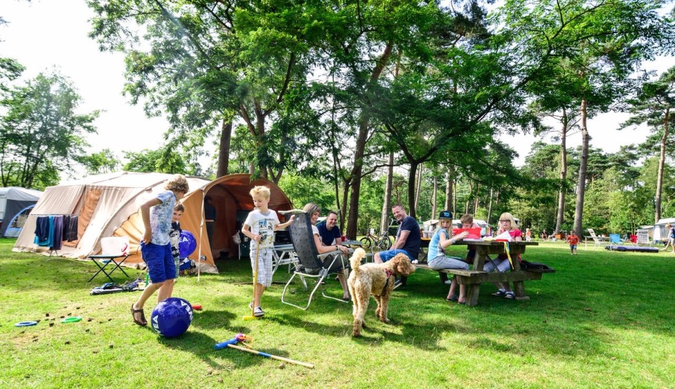 Kamperen met hond veld k.jpg